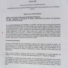 Relato dos Colaboradores 1