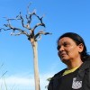 Nilcilene e o novo símbolo da Amazônia, uma castanheira morta. Foto: Ana Aranha