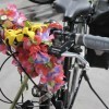 Bicicletada das Flores. Foto: Gonzalo Cuellar Mansilla