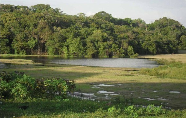 Município de Borba, no Amazonas, que teve contrato com a Celestial Green. Foto usada numa brochura promocional da empresa em novembro de 2011.