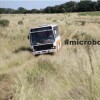 Onibus