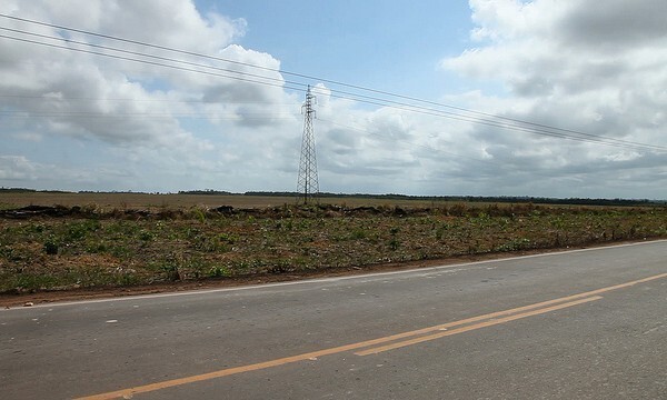 Campos de soja na beira da PA 370, em Santarém (PA)/ Foto: Fernanda Ligabue