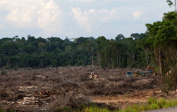 Desmatamento em área a ser alagada pela usina de Jirau. Foto: Marcelo Min/Agência Pública