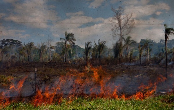 Incêndio na beira da BR que liga Porto Velho à usina de Jirau. Foto: Marcelo Min/Agência Pública