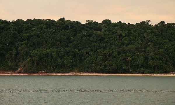 Vista da Floresta Nacional Itaituba 1, na beira do rio Tapajós/ Foto: Fernanda Ligabue