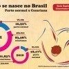 Infográfico: Emidio Pedro. Os valores decimais do infográfico são aproximados