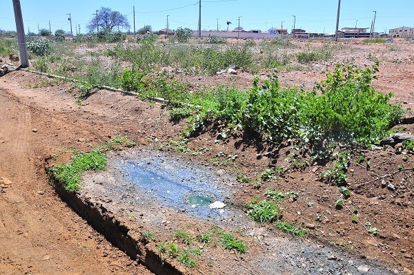Avariações no sistema emissário de recalque de esgoto em Monteiro (PB) provocam vazamento de esgoto bruto poluindo o solo. (Foto: Mano de Carvalho)